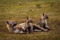 076 Masai Mara, gevlekte hyena
